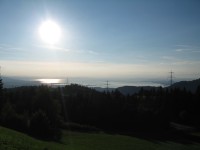 Blick von Oberbildstein zum Bodensee.