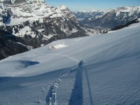 Blick zur &uuml;ber die fast endlos weiten Powderh&auml;nge zur&uuml;ck zu Alpe Sasberg.