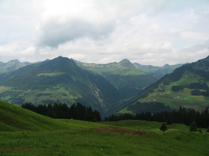Blick von der Sterisalpe ins Ladritschbachtal mit dem Pfrondhorn leicht rechts von der Bildmitte.