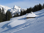 Die Alpe Engi auf ca. 1469m