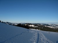 Wie jeder Tag in letzter Zeit auch heute traumhafte Bedingungen. Hier der Blick beim Zustieg zum Bullerschkopf zur&uuml;ck in den Vorderen Bregenzerwald.