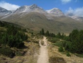 Der wunderbare Trail zwischen der Alpe Astras und Pass da Costainas.