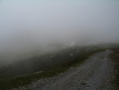 Leider steckt die Alp da Munt im dichten Nebel.