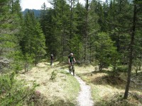 Wunderbarer Single-Trail im Val di Braies Vechia.
