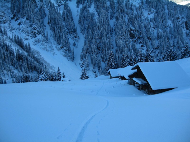 L&auml;ssig verschneite Zaunpfl&ouml;cke um die Alpe am Bodmenberg.