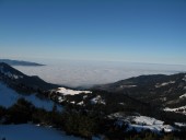 Und die Bodenseeregion erlebt einen weiteren Nebeltag!