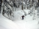 Emi bei der Waldabfahrt. Net schlecht, nachdem sie seit fast 10 Jahren nur mehr Snowboarden war!!