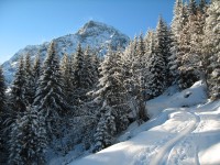 Tiefwinterlicher Aufstieg im Sennauerbachtal. Auf den Bergk&auml;mmen jedoch schon aufkommende Schneefahnen durch den immer mehr auflebenden F&ouml;hn.