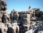 Interessantes Steingebilde beim Abstieg vom Hochvogel Richtung Kreutzspitze