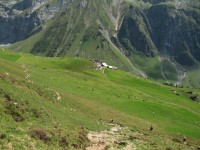 Der Abstieg f&uuml;hrt nach Osten ins Surnen Tal. Hier die Alpe Usser &Auml;bnet. Schon fast mehr Wanderer wie K&uuml;he unterwegs.