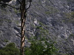 Ein letzter Blick in die untere Wandpartie des Kaiser-Max-Klettersteigs
