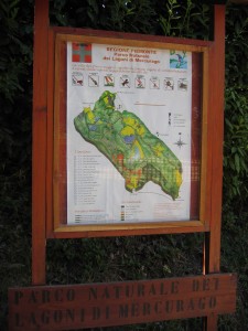 Highlight for album: Parco Naturale dei Lagoni di Mercurago (I)
