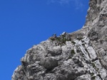 Ein sich sonnender Steinbock in den Felsen unterhalb der Braunarlspitze.