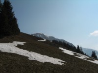 Erste Bergtour f&uuml;hrt mich von Maladers auf den Montalin hoch &uuml;ber Chur.