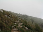 Die letzten Meter zum Gipfel geht es durch herumziehende Nebelfetzen.