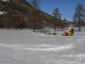 Auch Husky-Schlittenfahrten werden angeboten.