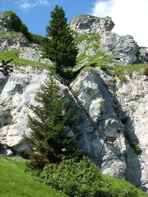 Nach dem letzten Grasband geht es, wie k&ouml;nnte es anders sein, &uuml;ber lange Leiter zum Ausstieg des Klettersteigs.