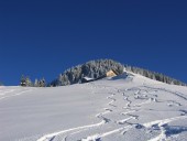 Wenig unterhalb der Alpe Stockneregg