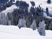 Winterlandschaft vom feinsten.