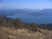Blick vom Monti Lamanno hinab auf den Lago di Maggiore mit Luino am Gegenufer.