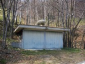 Ein grasendes Schaf auf einem Garagenfalchdach.