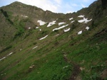 Noch extrem viele Altschneefelder, dazwischen schon die Schafe...